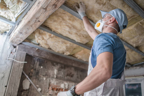 Best Home Insulation Services  in Brentwood, PA