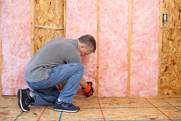 Best Wall Insulation Contractor  in Brentwood, PA