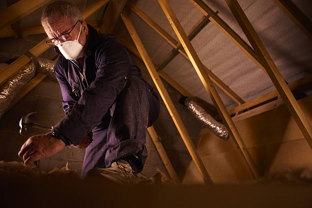 Best Cellulose Insulation  in Brentwood, PA